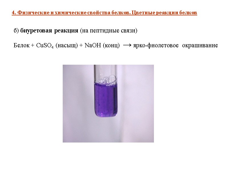 4. Физические и химические свойства белков. Цветные реакции белков б) биуретовая реакция (на пептидные